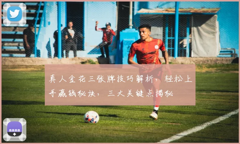 真人金花三张牌技巧解析，轻松上手赢钱秘诀，三大关键点揭秘