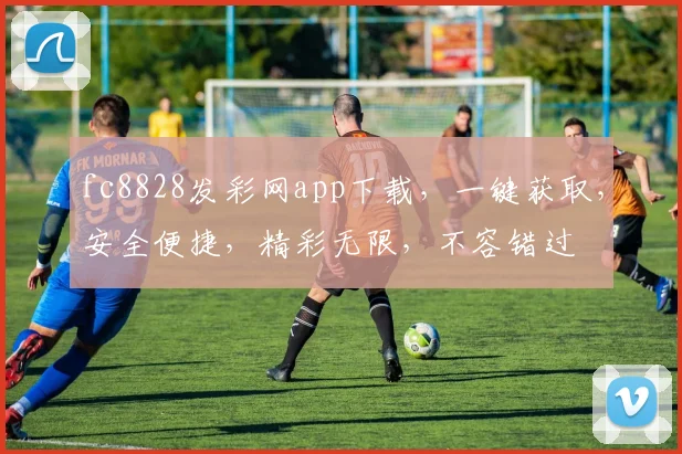 fc8828发彩网app下载，一键获取，安全便捷，精彩无限，不容错过