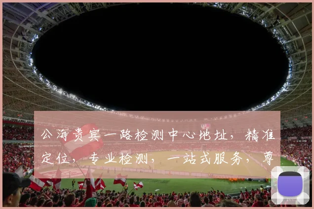 公海贵宾一路检测中心地址，精准定位，专业检测，一站式服务，尊享便捷，安全无忧
